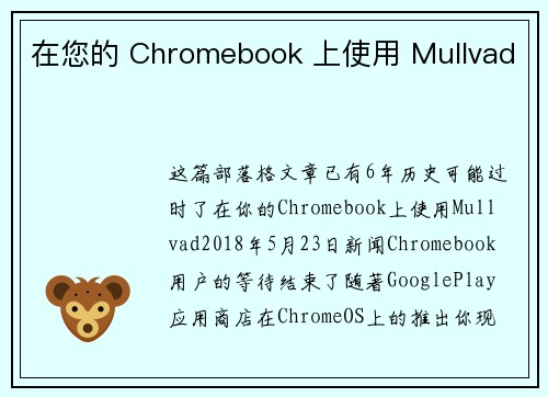 在您的 Chromebook 上使用 Mullvad 